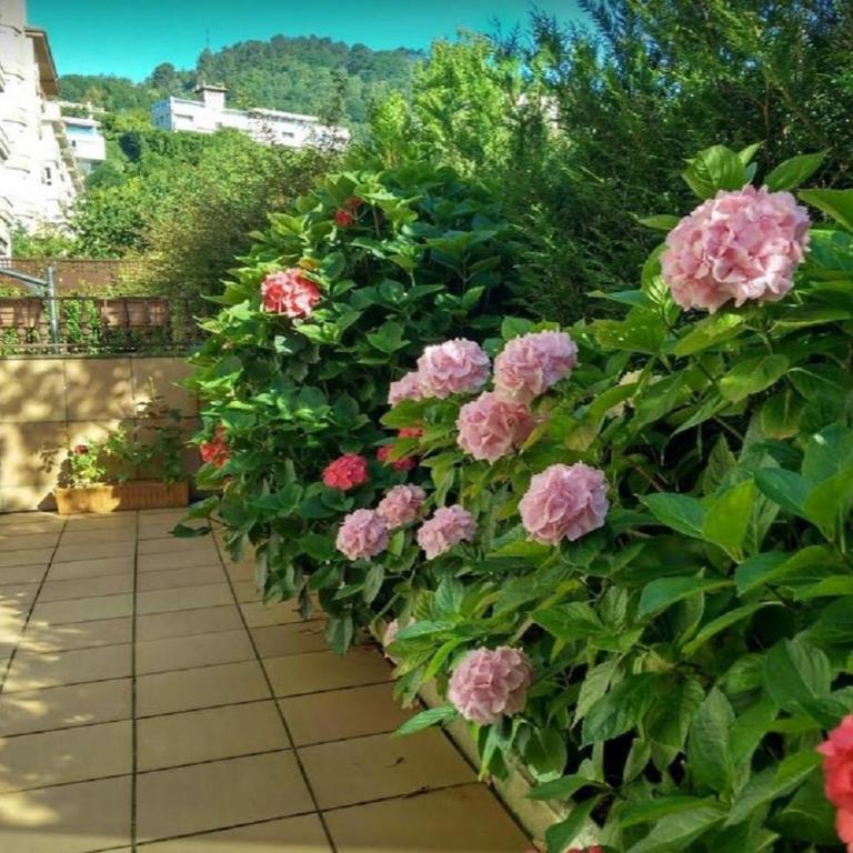 Ondarreta Beach & Terrace - Apartamento - Planta baja - 2