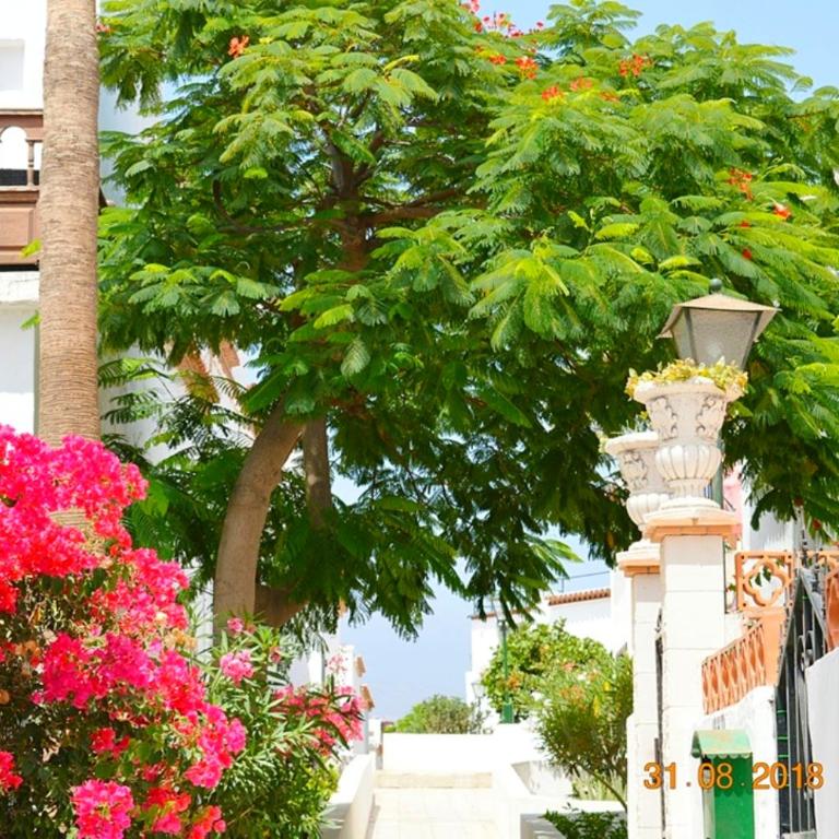 New renovated duplex near the ocean located in Tenerife Sur - Apartamento - 34