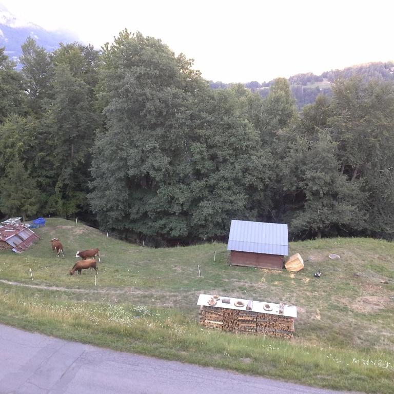 Cordon Balcon Du Mont Blanc - Appartement - 38