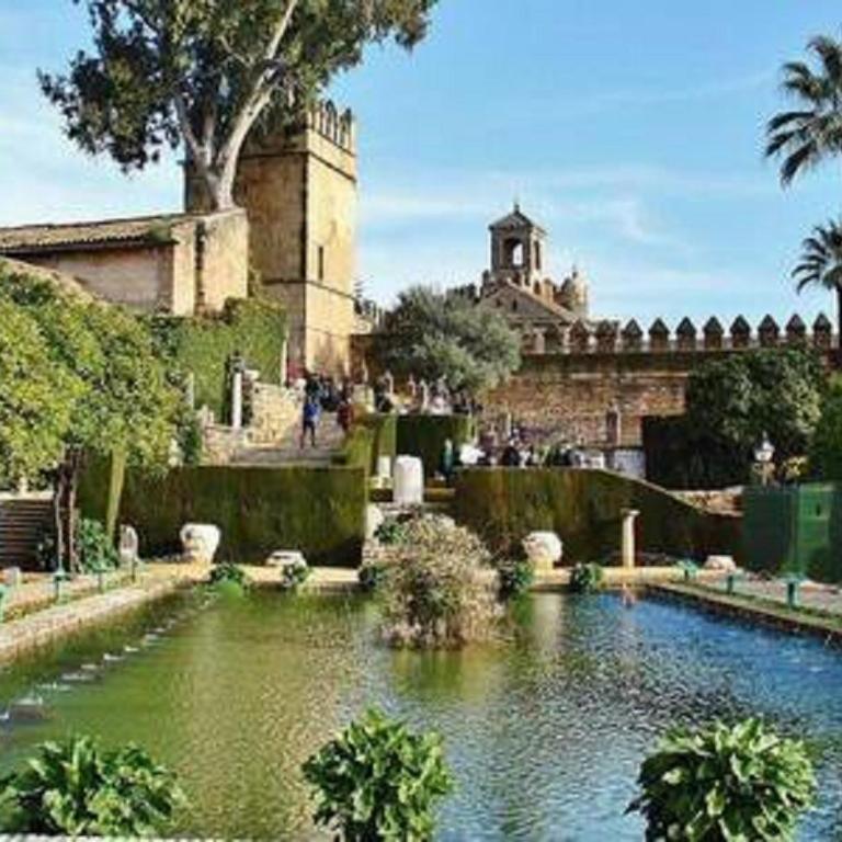 Apartamento con encanto en Córdoba - Apartamento Estándar - 25