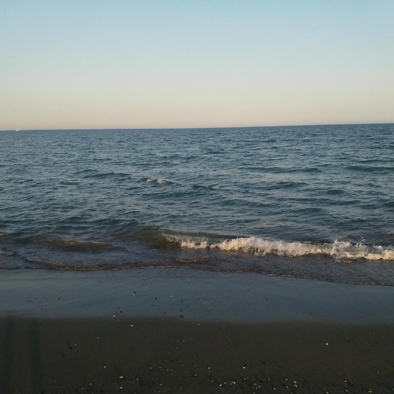 Nova beach - Apartamento Superior - 36
