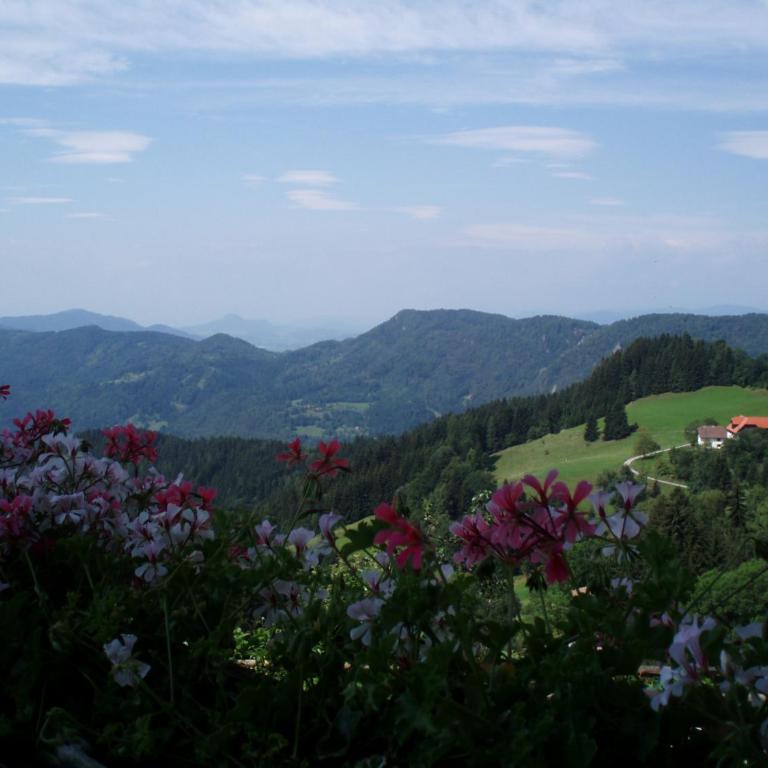Gasthof Gutmann - Suite mit Balkon - 7