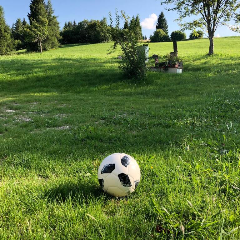 Chalet Maso Pino - Four-Bedroom Chalet - 87