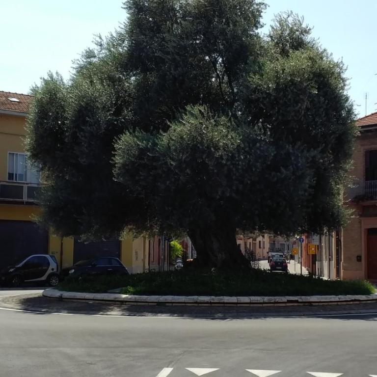 Appartamento in Centro Storico, vicino alla Stazione e al Mare - Appartamento - Piano Terra - 8