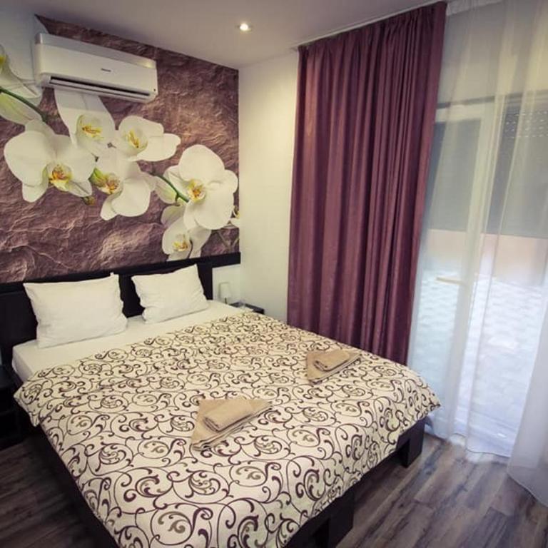 Apartments & Rooms Villa Zaad FREE PRIVATE PARKING - Apartment - Ground Floor - 2