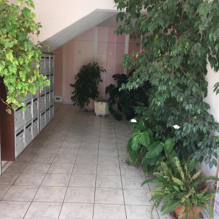 le grand large - Appartement 1 Chambre - 21