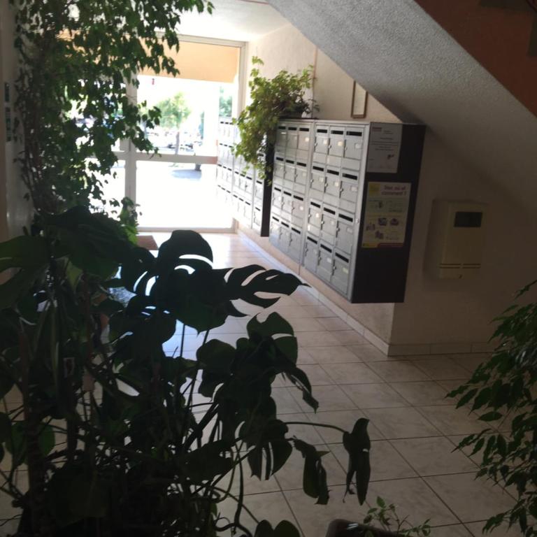 le grand large - Appartement 1 Chambre - 20