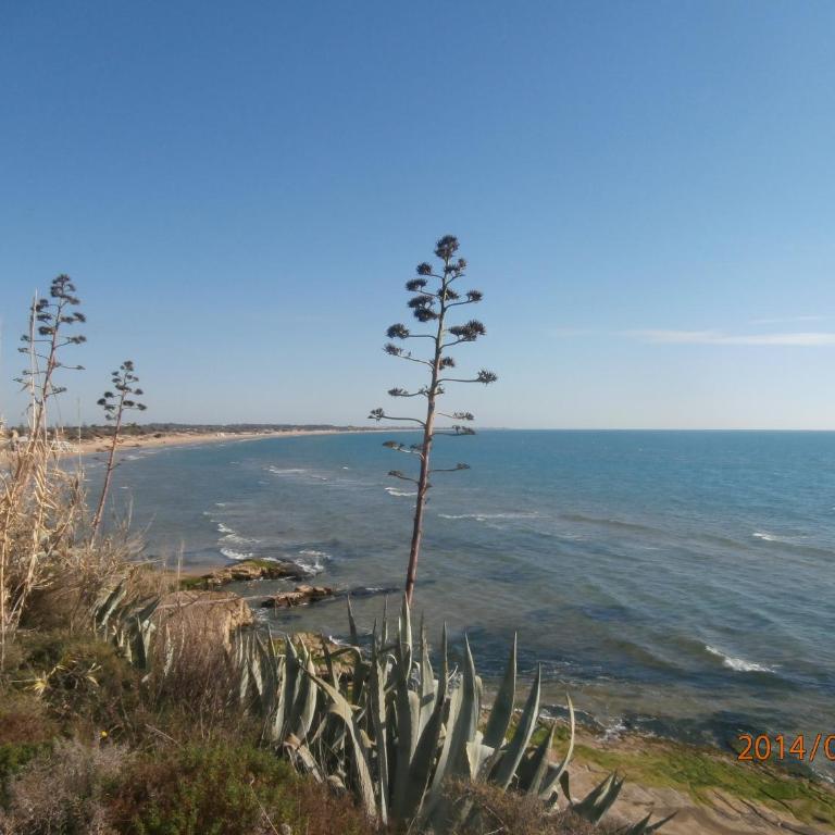 VILLA FIOR D'OLEANDRO - Casa Vacanze - 26