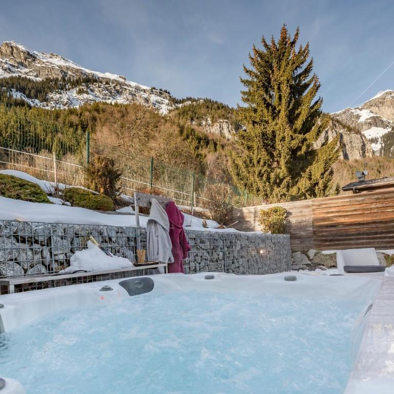 Les Edelweiss Mont-Blanc - Gîte Classé 3 Etoiles - Suite con Vista Montagna - 2