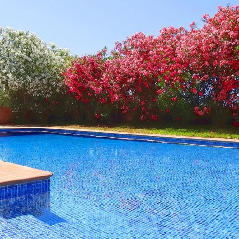 Son Mas - Villa con piscina privada - 14