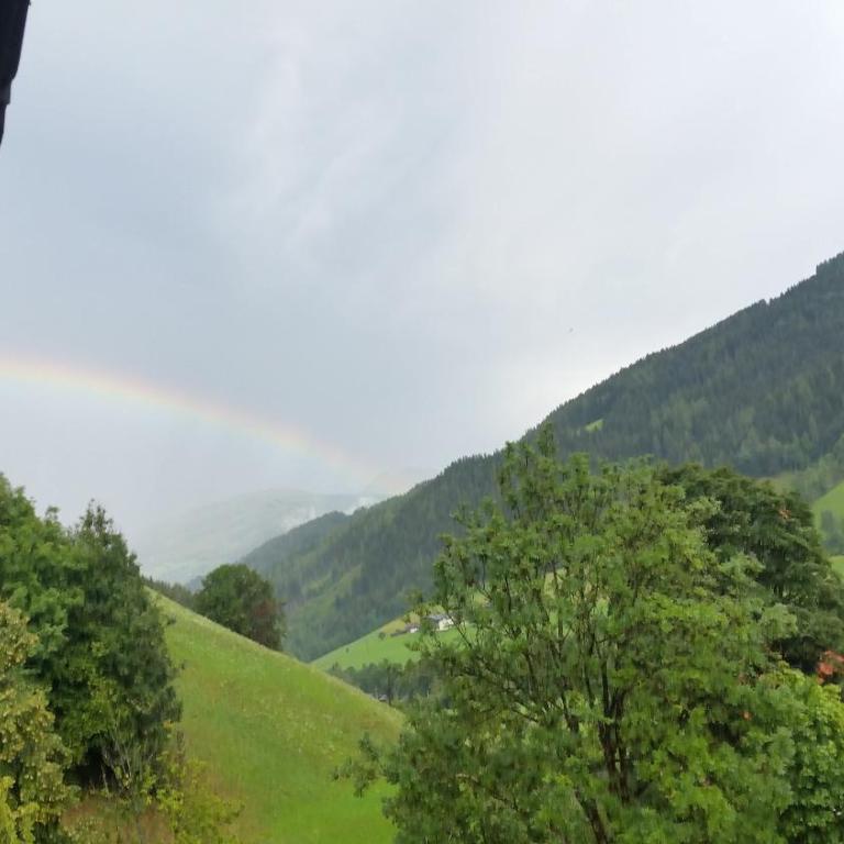 Haus Silvia Kraml - Familiensuite mit Balkon - 6