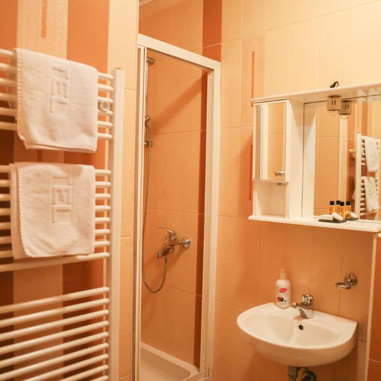 Bed and Breakfast Vijecnica - Single Room - 3