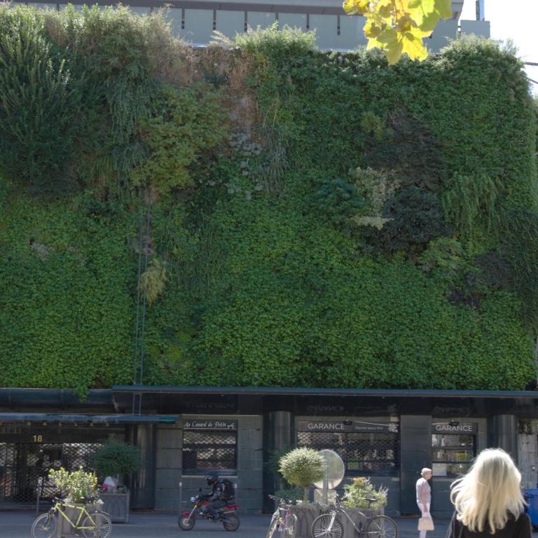 Appartement Terrasse - Hypercentre - Apartamento - 20