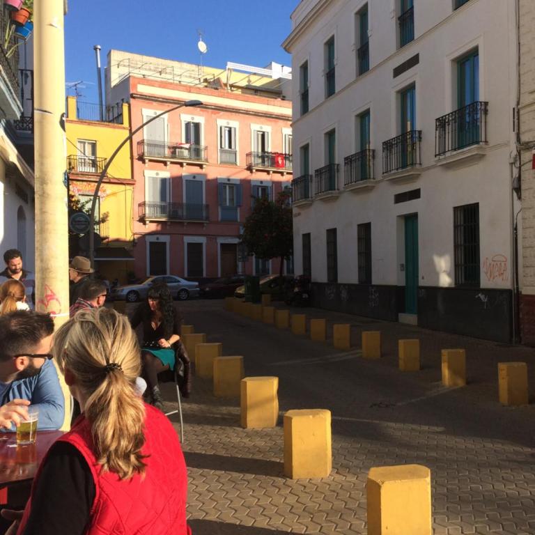 Nuevo apartamento Alameda - Apartamento - Planta baja - 18