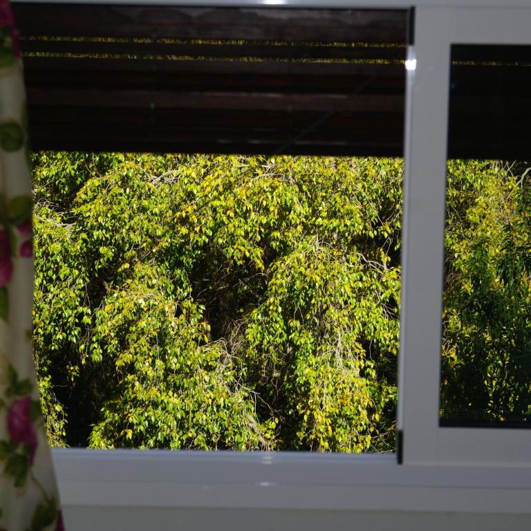 Vivienda Rural Rio Cerezuelo - Apartamento Ático - 24