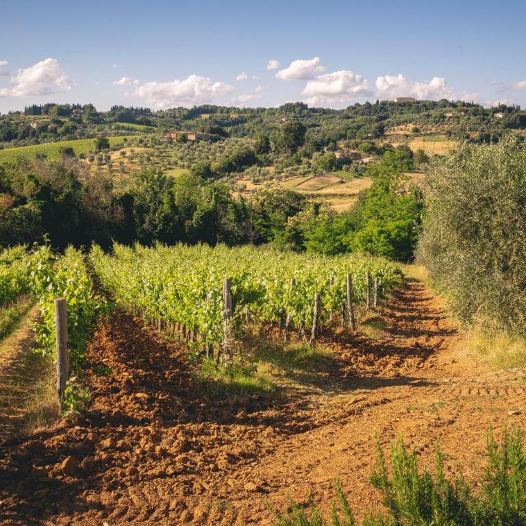 Borgo Villa Certano - Case Vacanza in Toscana - Appartamento con Vista Giardino - 7