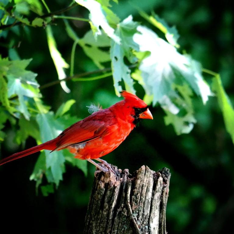 Siete Sentidos Estancia de Aves - Seven-Bedroom House - 29