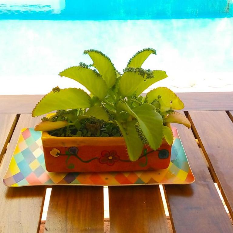 Casas Luna y Sol - Casa Sol - Vacation Home - 3