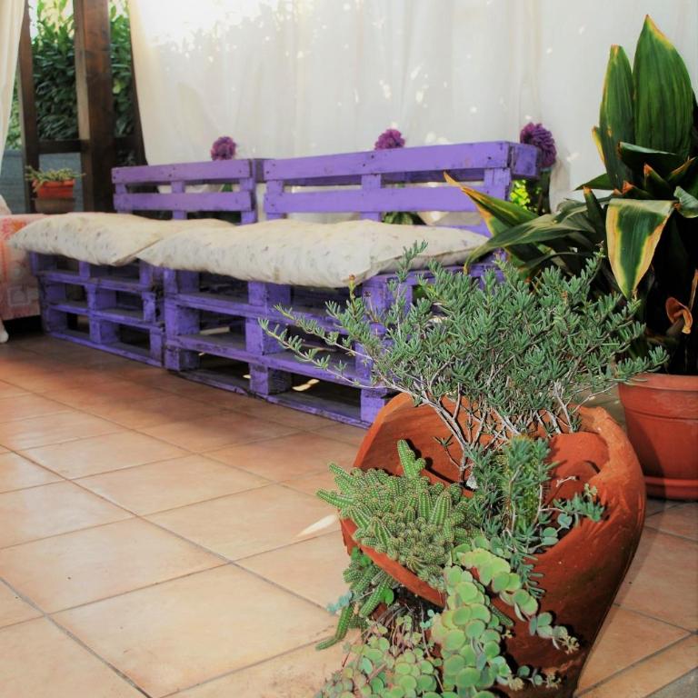 Villino alle terme - Casa Vacanze - 23