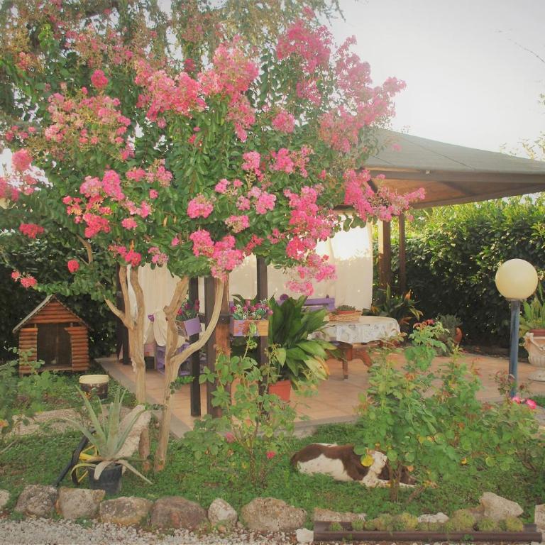 Villino alle terme - Casa Vacanze - 24