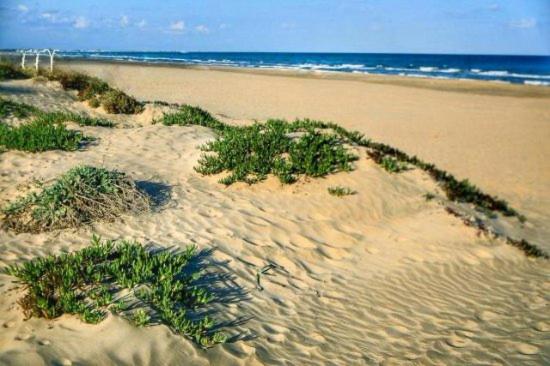 Apartamento de lujo en Canet de Berenguer a 150 m de la playa - Appartement - 23