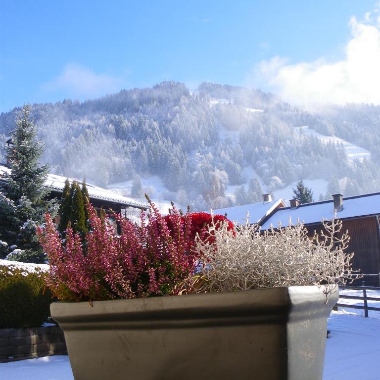 Haus Kathrin - Apartment mit 1 Schlafzimmer - 3