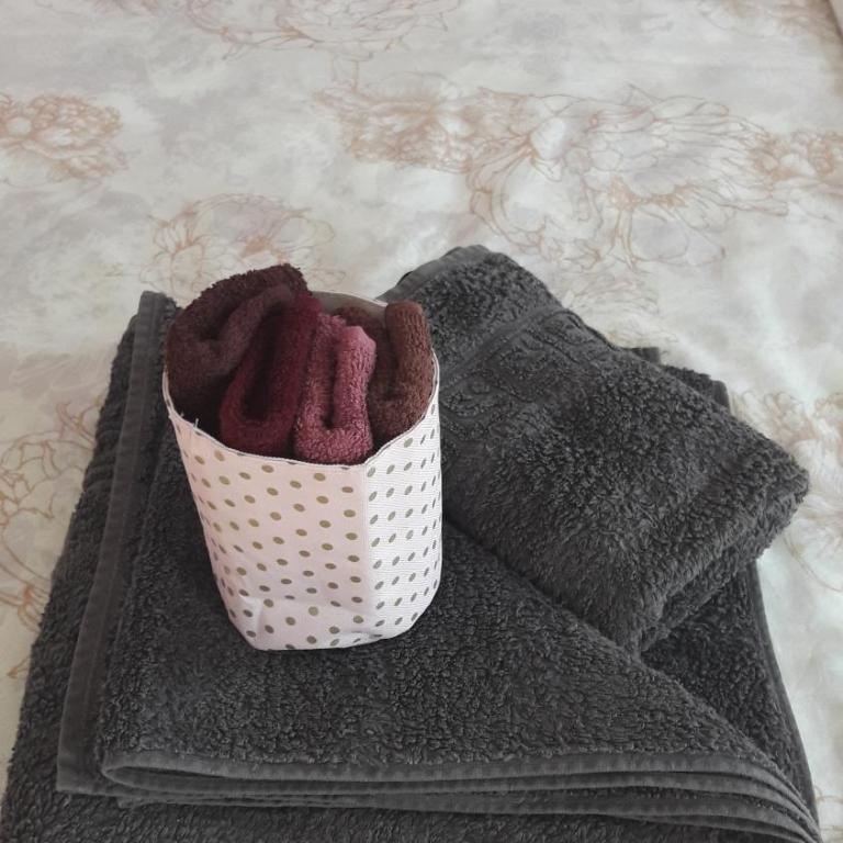 Apartmani V&F - Apartman sa Terasom - 7