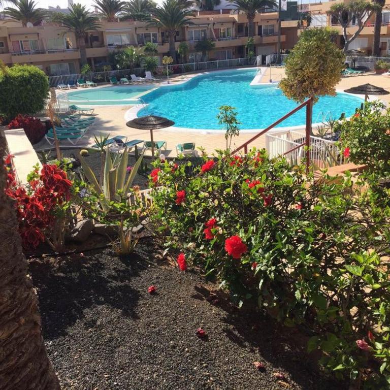 Sabrihome - Apartamento con vistas a la piscina - 11