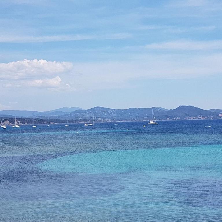 Capitaine Pirrodi - Apartamento - 25