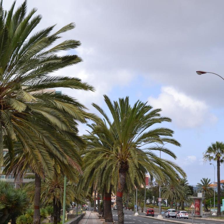 MAGNIFICO Penthouse LAS PALMAS - Apartamento Superior - 45