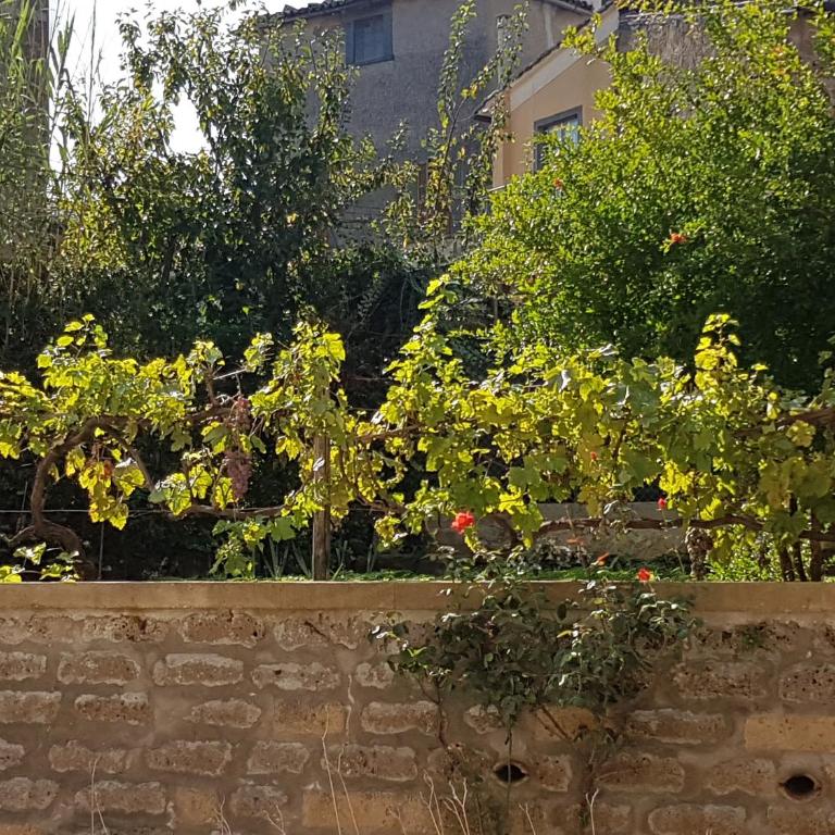 Fidanza House - Apartment - 45
