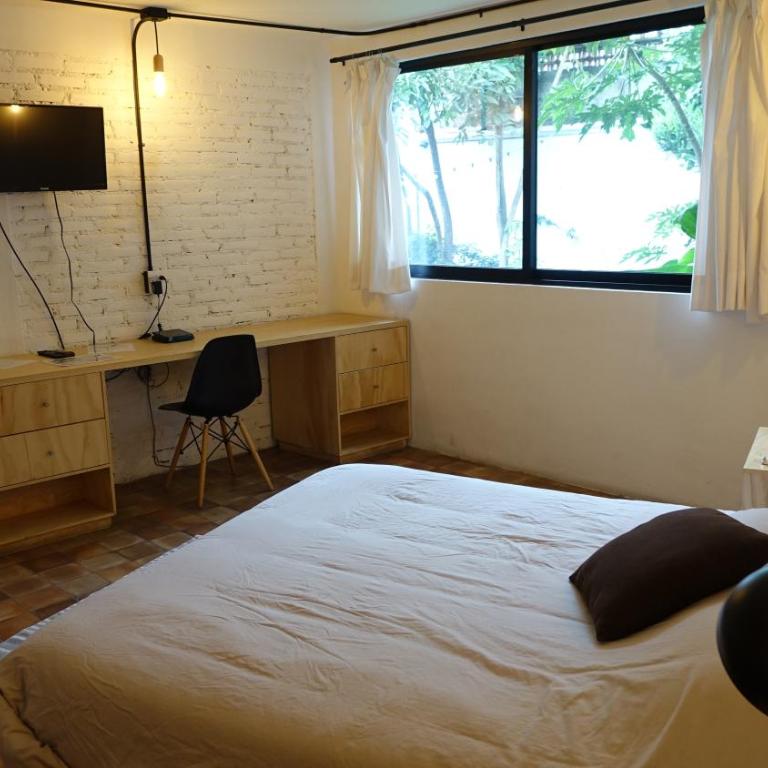 Coyoacan City Lofts - Estudio Estándar - 47