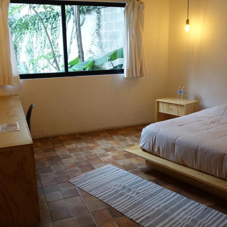 Coyoacan City Lofts - Estudio Estándar - 36