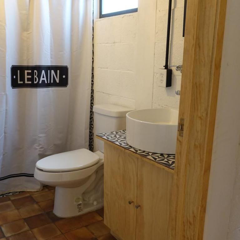 Coyoacan City Lofts - Estudio Estándar - 44