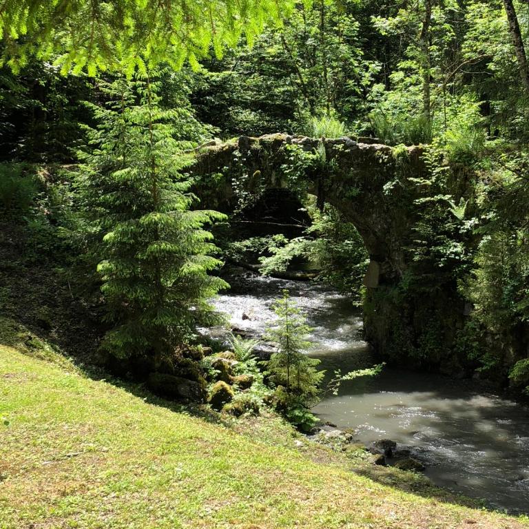 Le Moulin des Olirics - Apartment mit 2 Schlafzimmern und Bergblick - 29