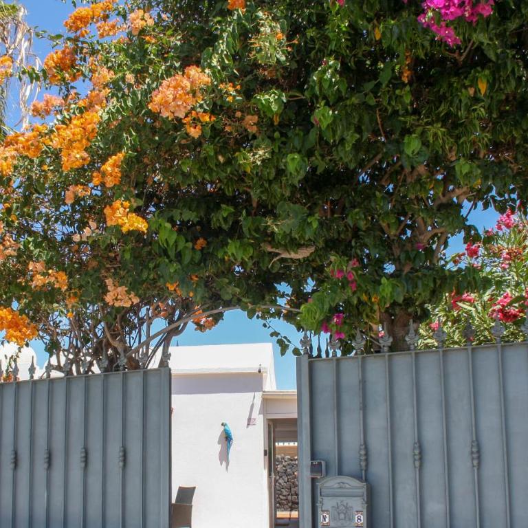 VILLA OLIVEIRA by Buenavilla - Villa - 39