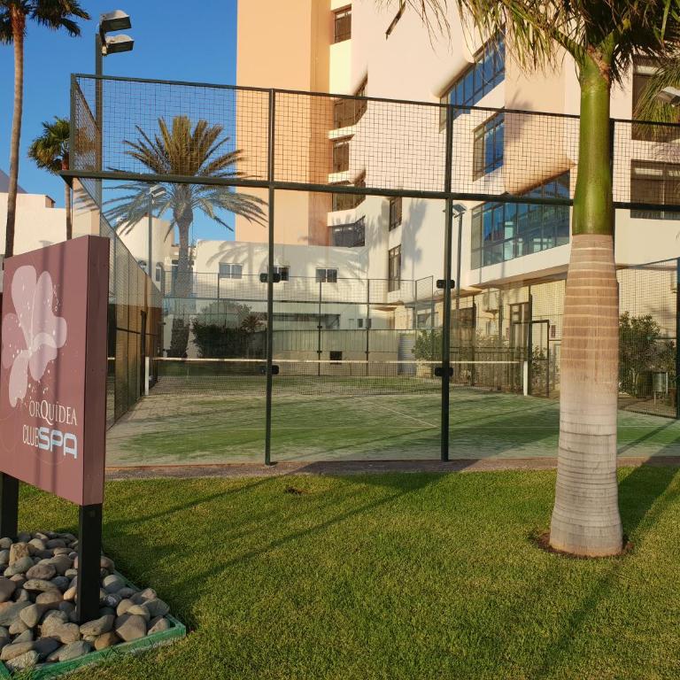 Apartamentos Playa Feliz - Apartamento con 2 dormitorios y vistas frontales al mar - 56