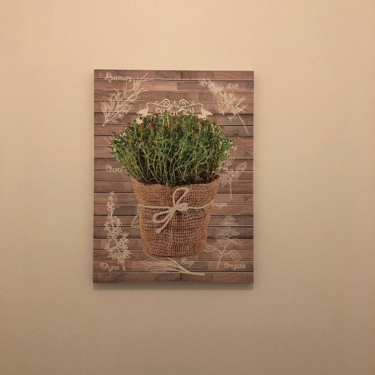 La Roseraie Toulousaine, parking à réserver, proche métro - Apartment - Erdgeschoss - 31
