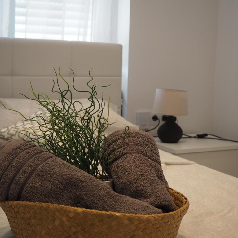 Ravel - Apartment - 8
