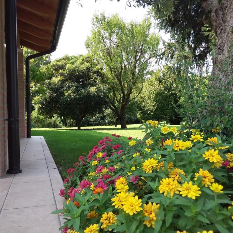 “Al Campo” - Double Room with Private Bathroom - 5