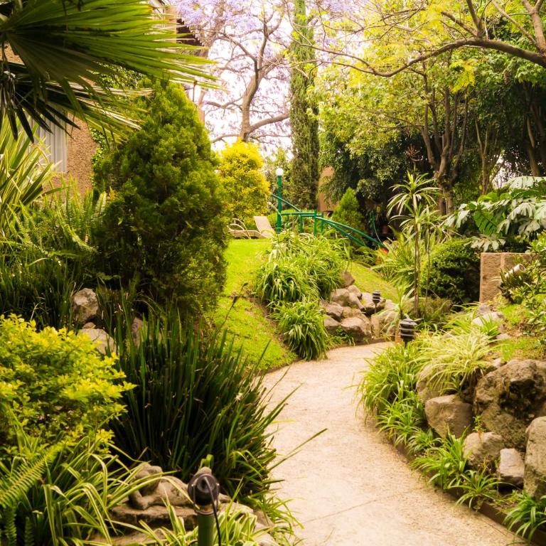 Suite 3C, Jacaranda, Garden House, Wewlcome to San Angel - Apartamento - 7