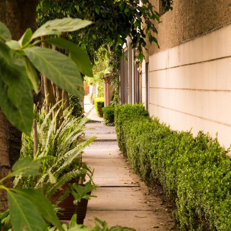 Suite 3B La Paz, Welcome to San Angel - Apartamento - 12