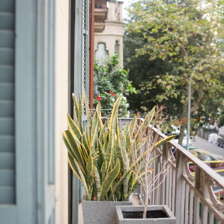 Forget Me Not Barcelona - Double or Twin Room with Street View - 6