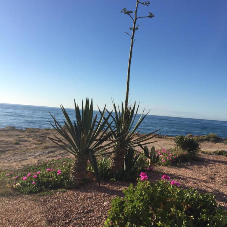 Seafront Dream Apartment - Apartamento con vistas al mar - 44