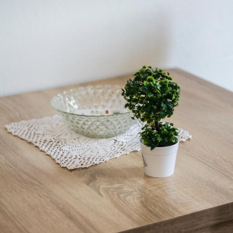 Apartment Lazar & Marco - Apartment - 12