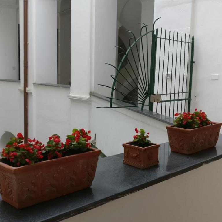 Il Rigiuolo - Holiday Home - Appartamento - 22