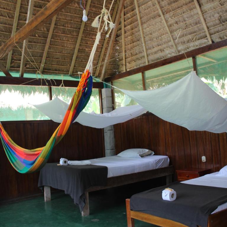 Paradise Amazon Tambopata Ecolodge - Twin Room with Private Bathroom - 3