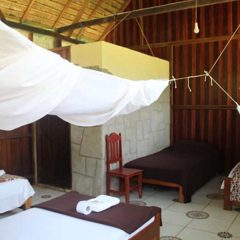 Paradise Amazon Tambopata Ecolodge - Triple Room with Private Bathroom - 7
