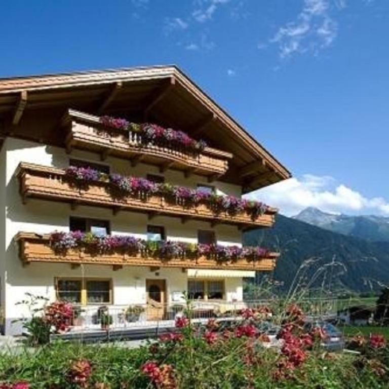 Landhaus Tipotsch - Einzelzimmer - 2