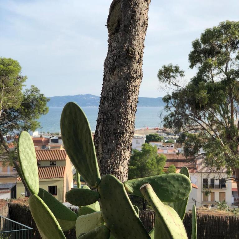 Apartamento Islas Medas WIFI y PARKING GRATIS - Apartment with Sea View - 22